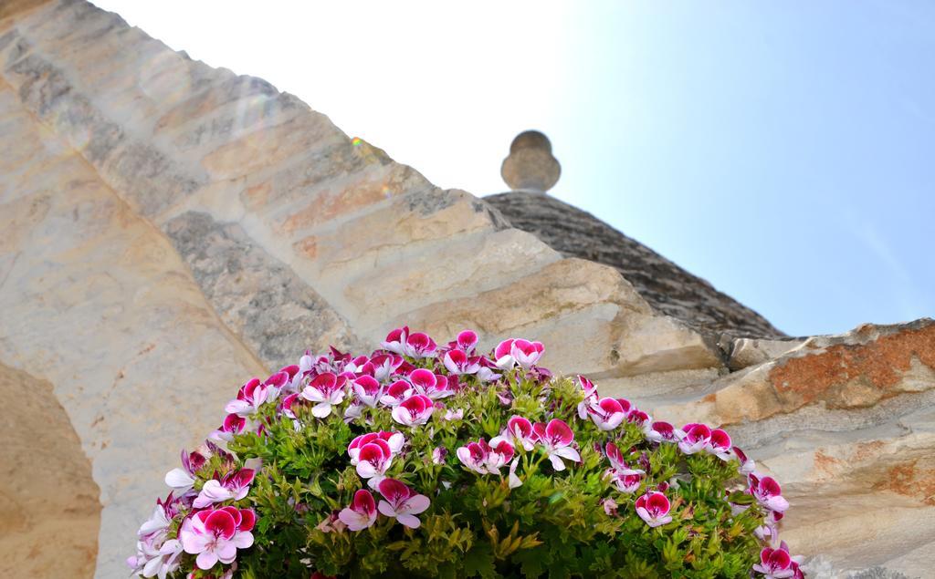 塞尔瓦·迪·法萨诺Il Trullo Del Mirto别墅 外观 照片